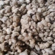 姜母，看上的联系