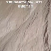 壳糠