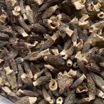 羊肚菌中期货，手选4到7