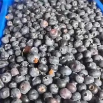 蓝莓工厂果对接