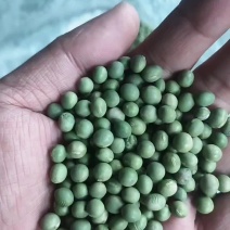 精品青豆制品，《诚信牌》财神豆牌》