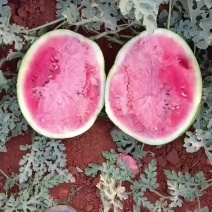 云南西瓜