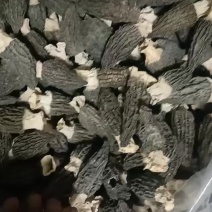 羊肚菌干品