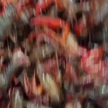 小龙虾基地直销
