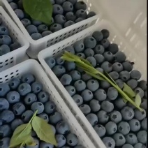 蓝莓降价啦L25F6优瑞卡