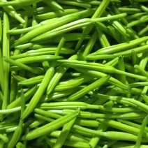 新鲜黄花菜，靓货