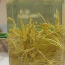 张家界莓茶（藤茶）