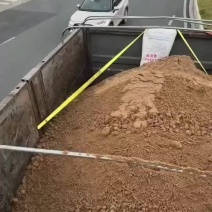 【精选】新鲜脱水啤酒糟优质蛋白养殖牛羊猪鸡鸭鱼爱吃