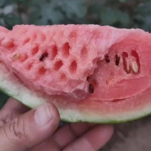 陕西蒲城吊兰西瓜，小糖丸，手撕西瓜，口感好。甜度高，