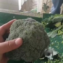 西兰花