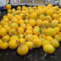 我是瓜农，目前有现货2万斤，没有中间商费用，