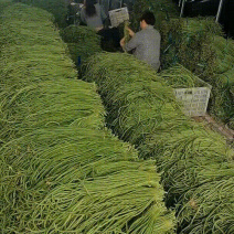 电商，工厂，腌制，烘干，市场