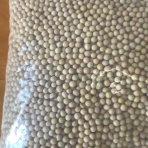 俄罗斯大豆蛋白含量43-44