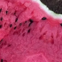 盖县锦王，甜王，二等瓜🍉大量有货，价格美丽