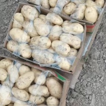 土豆效果