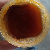 土蜂蜜