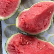 精品推荐美都西瓜河南西瓜大量上市保质保量发货中