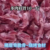多肉猪眉骨货源充足量大从优