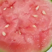 精品吊蓝西瓜