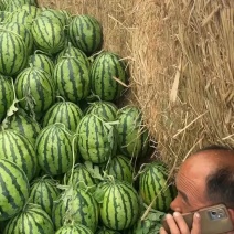 代收代发，盖县锦王，甜王，二等瓜大量有赁，价格美丽