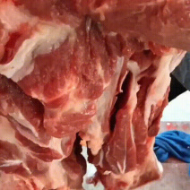 新鲜美味猪前腿肉大量批发