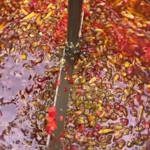 双椒酱