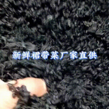 淡干裙带菜