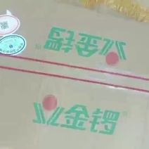 猪肝