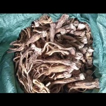 秦艽三年根大统货