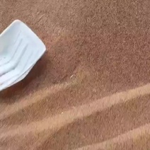 油菜籽