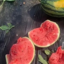 代收代发，盖县西瓜锦王甜王，二等瓜🍉大量有货价格美丽