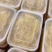 纯翅针金钓翅