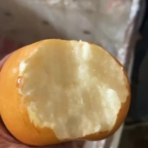 出售大新高梨