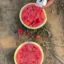 新鲜盖县老锦王西瓜，甜蜜多汁，当季特惠！