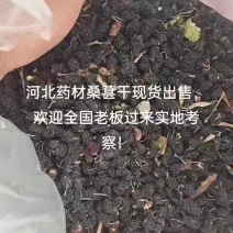 黑桑葚