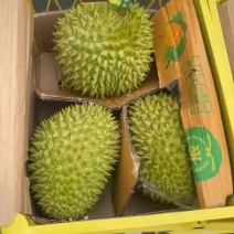 干尧榴莲产区直供批发价支持视频看货售后完善全国发货