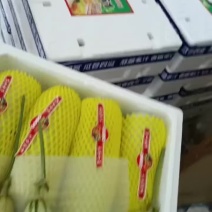 山东精品羊角蜜甜瓜大量上市口感香酥一件代发全国各地