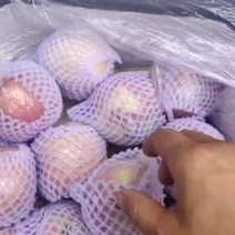 红富士苹果80mm以上纸+膜袋