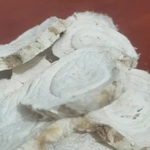 无硫葛根片