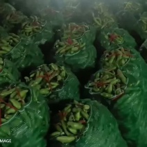 精品蚕豆，真好