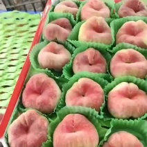 红蟠桃