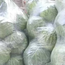 精品甘篮