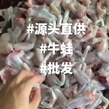 《牛商推荐》厂家直销批发牛蛙肉全部规格齐全质量保证