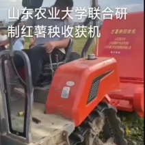 红薯秧收获机