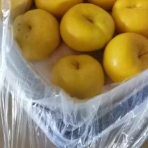黄金油蟠桃