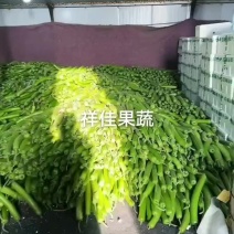 寿光产地，瓠子大量上市。大量有货。需要的老板看过来。