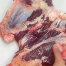 牛腱子牛副产品滨州牛肉常年供货价格便宜代发全国市场