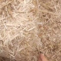麦草