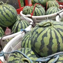 美都，早春红玉口口脆