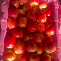 123小苹果（花红）